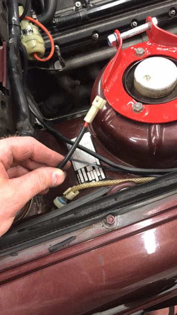 IMG_0275.jpg  by mottati