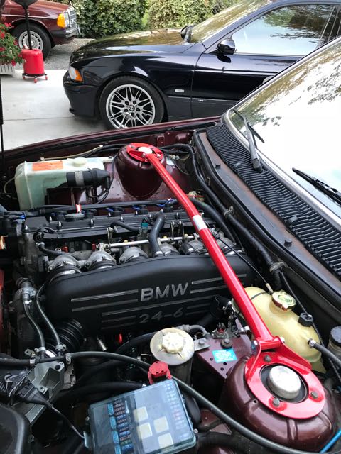 IMG_0599.jpg  by mottati