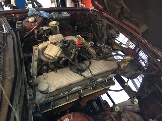 IMG_9803.jpg  by mottati