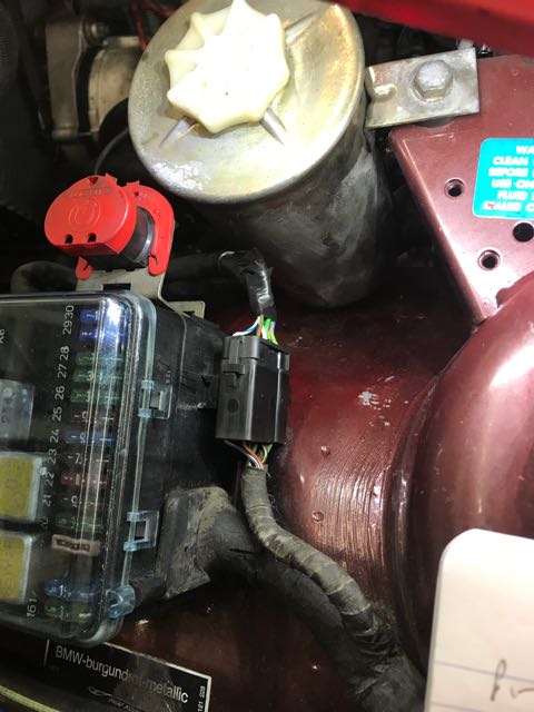 IMG_0273.jpg  by mottati