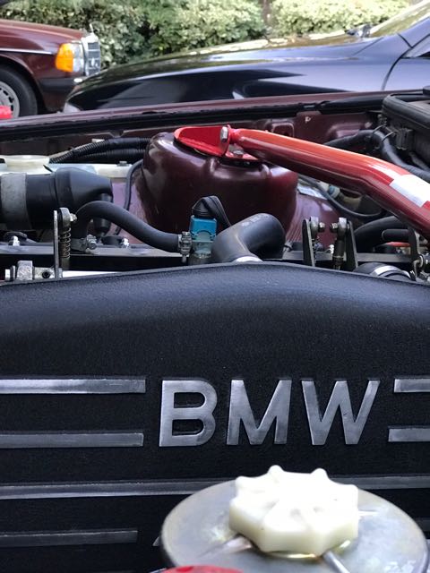 IMG_0601.jpg  by mottati