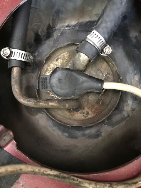 IMG_0588.jpg  by mottati