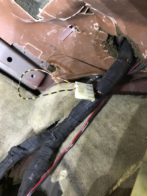 IMG_0287.jpg  by mottati