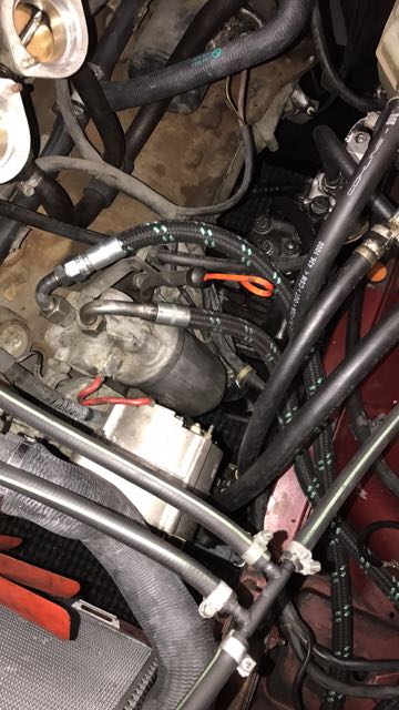 OXTR3703.jpg  by mottati